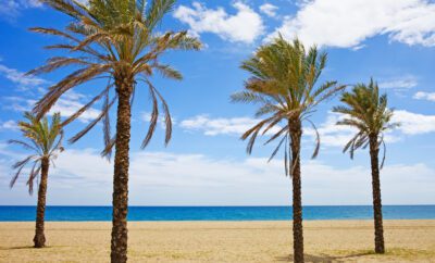 5 Things to do in Costa Del Sol