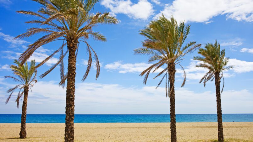 5 Things to do in Costa Del Sol